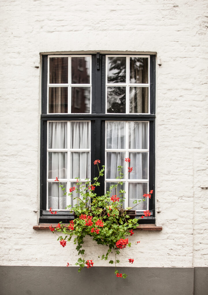 casement windows philadelphia pa