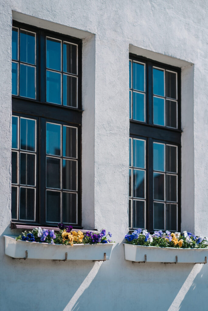 energy efficient window replacement croydon pa