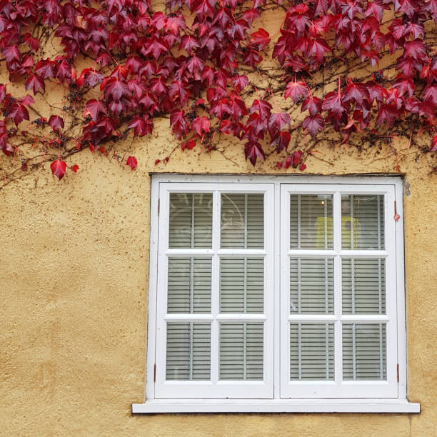 the best window installation in Ancient Oaks PA