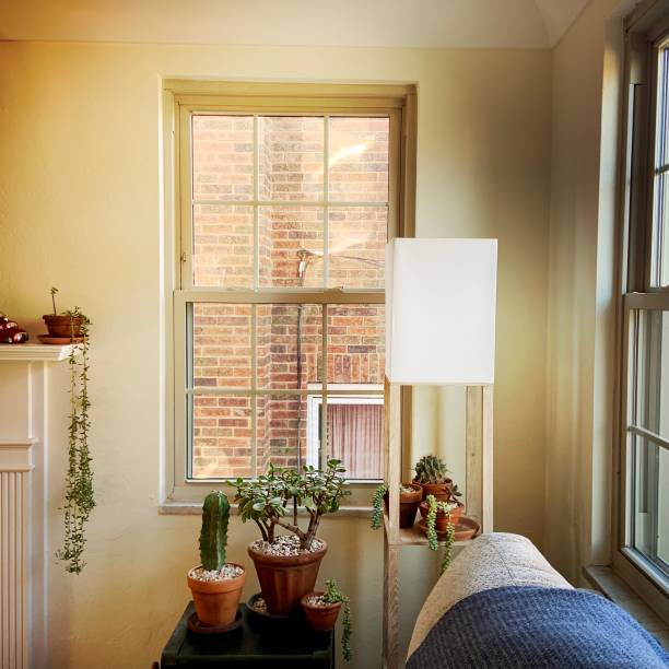 top-rated window installation in Coatesville PA