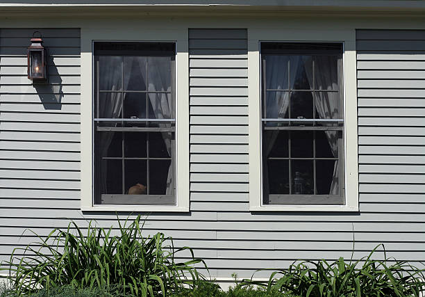 professional window installation in Hokendauqua PA