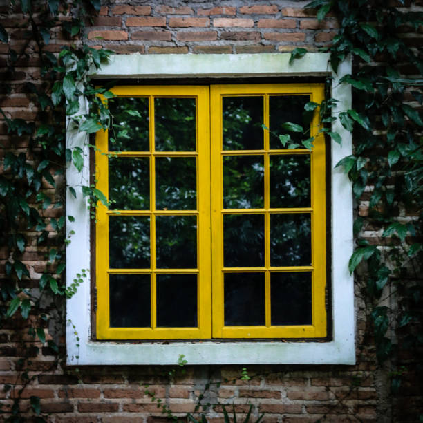 premium window replacement in Catasauqua PA