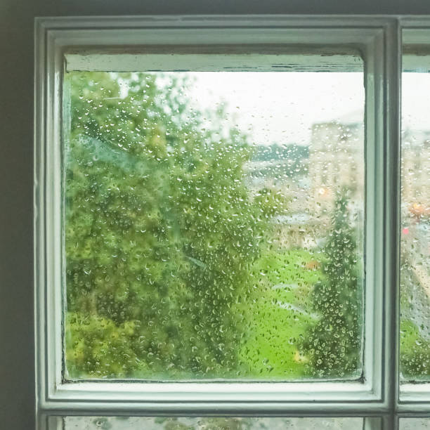 trusted window replacement in Coplay PA