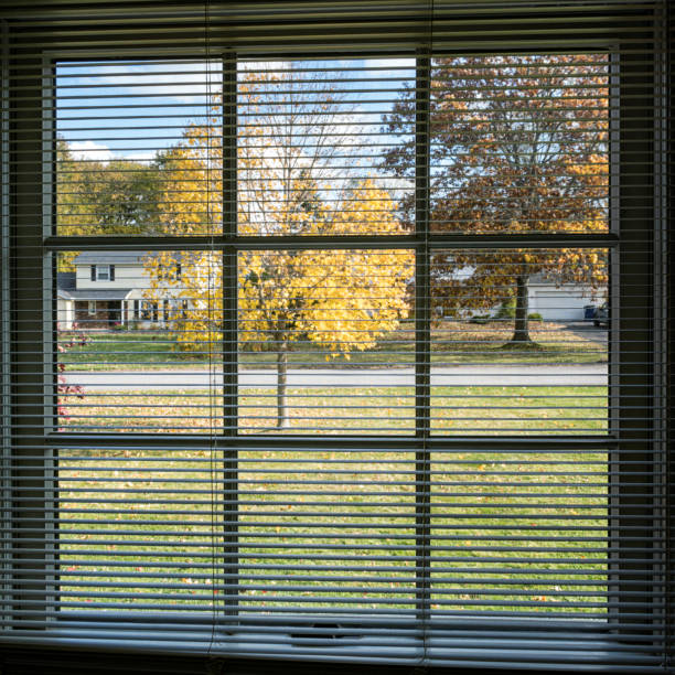 trusted window replacement in Phoenixville PA