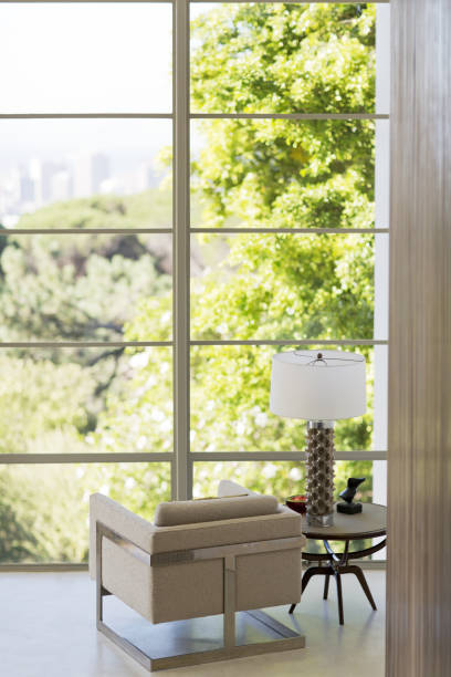 top-notch window services in Catasauqua PA