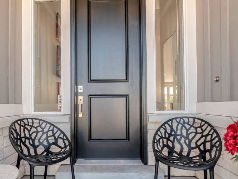 the best door in Lionville PA